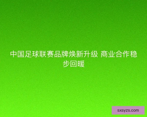 中国足球联赛品牌焕新升级 商业合作稳步回暖